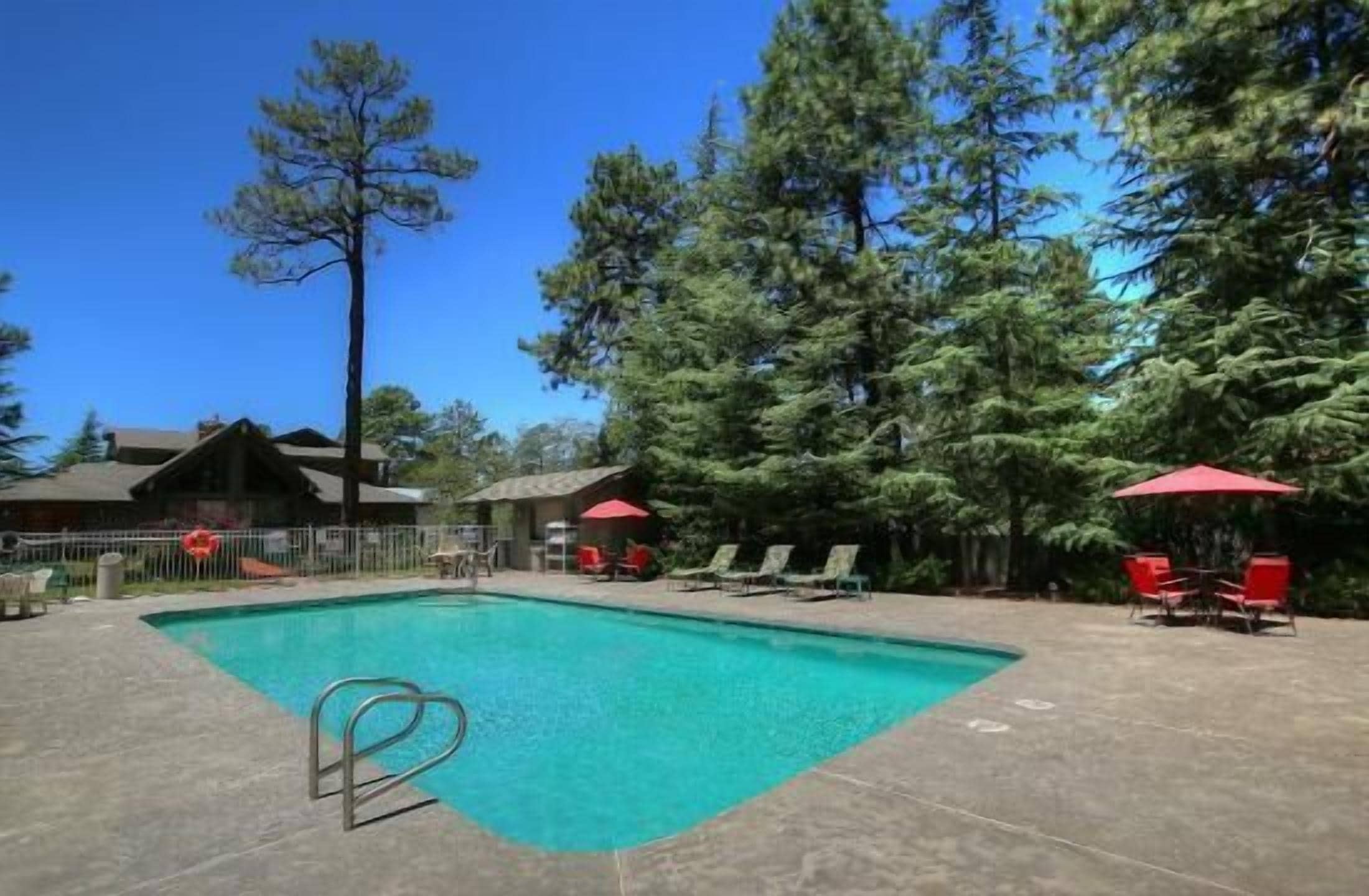 A swimming pool with a metal ladder, surrounded by red chairs and umbrellas, with trees and buildings in the background.