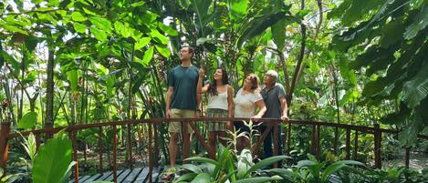 Un grupo de personas sobre un puente de madera, rodeadas de abundante vegetación verde.
