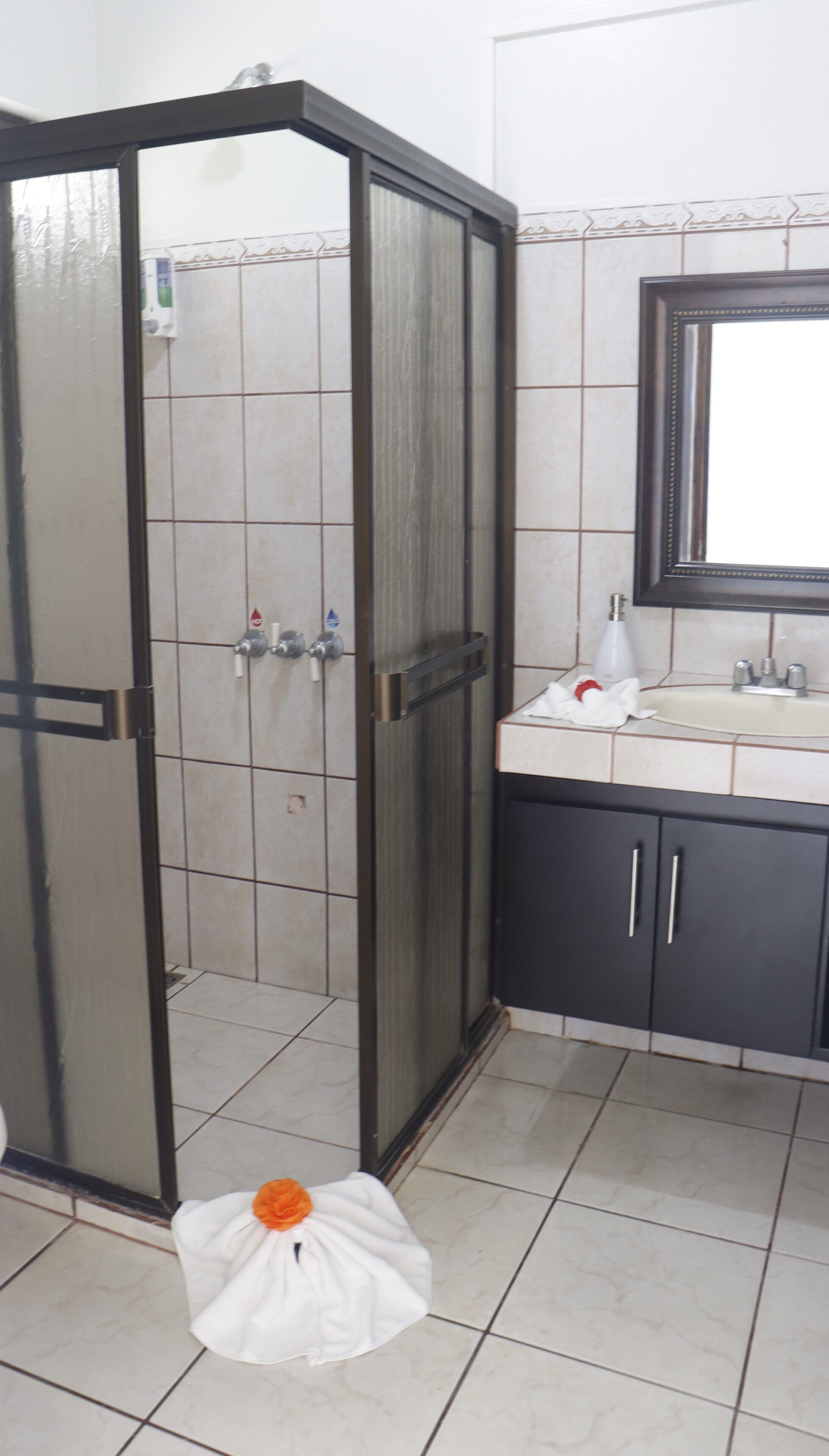 standard room | bathroom | shower, hair dryer, towels, soap