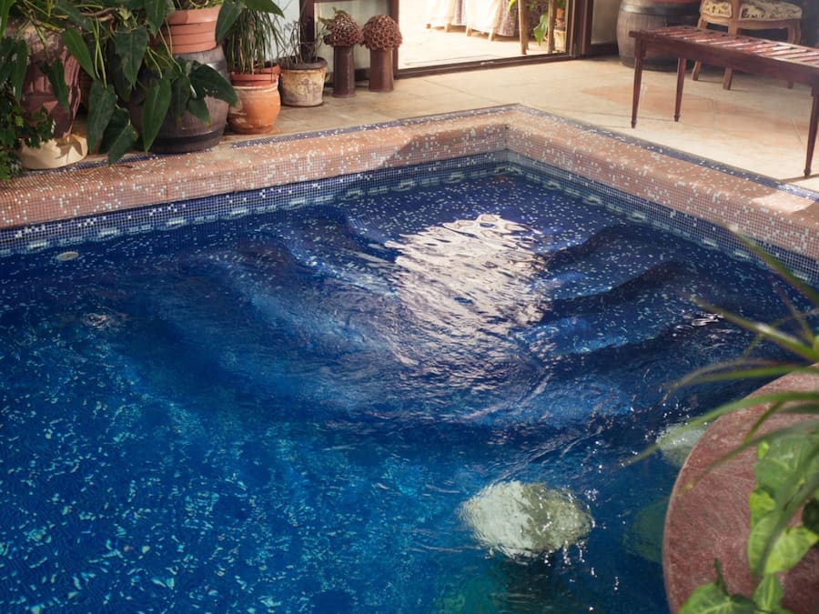 Seasonal outdoor pool, pool umbrellas, sun loungers