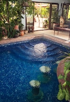 Seasonal outdoor pool, pool umbrellas, sun loungers