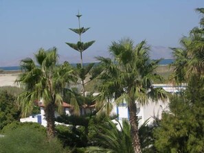 Pemandangan dari properti