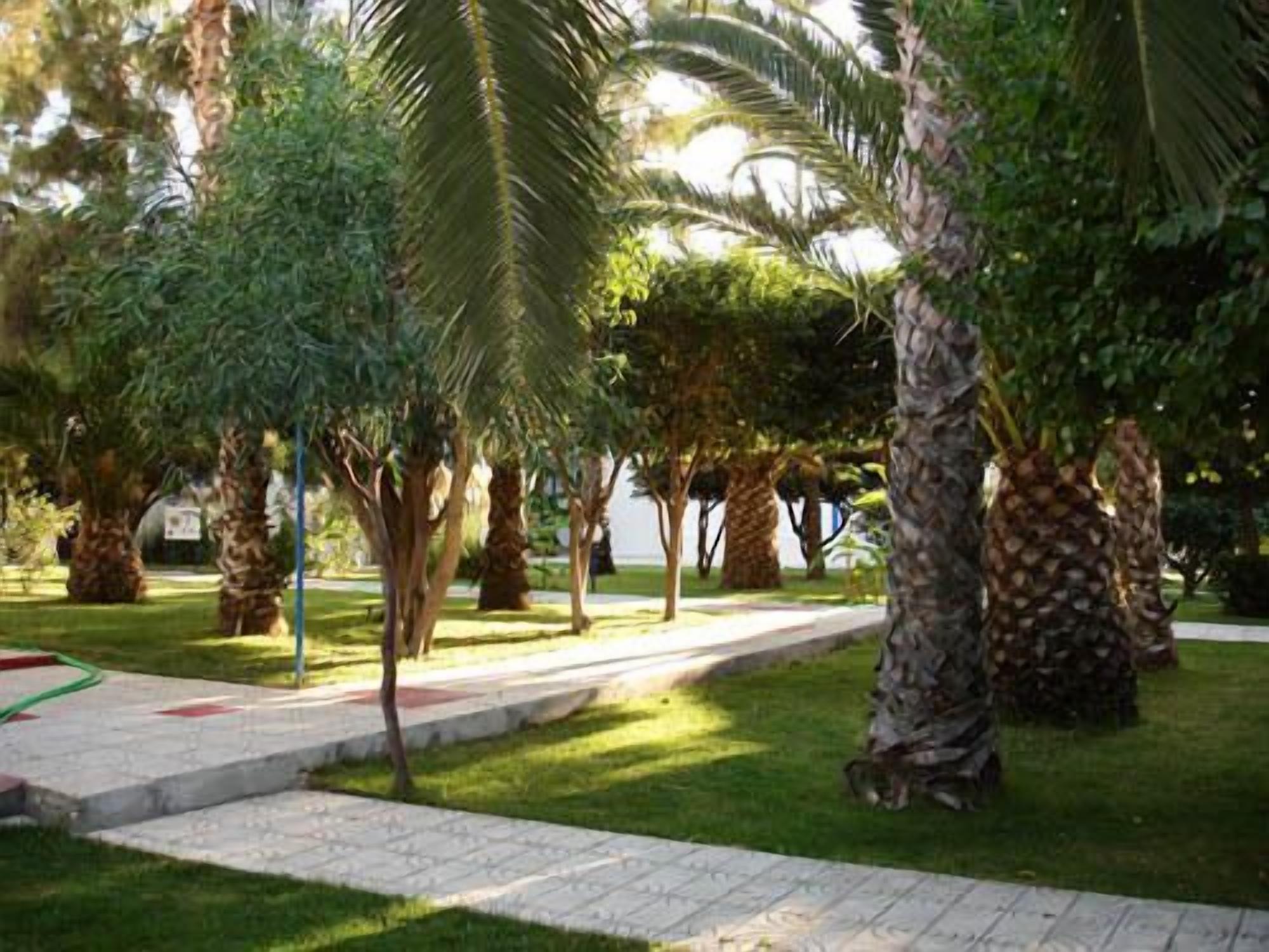 المنطقة المحيطة بالمنشأة