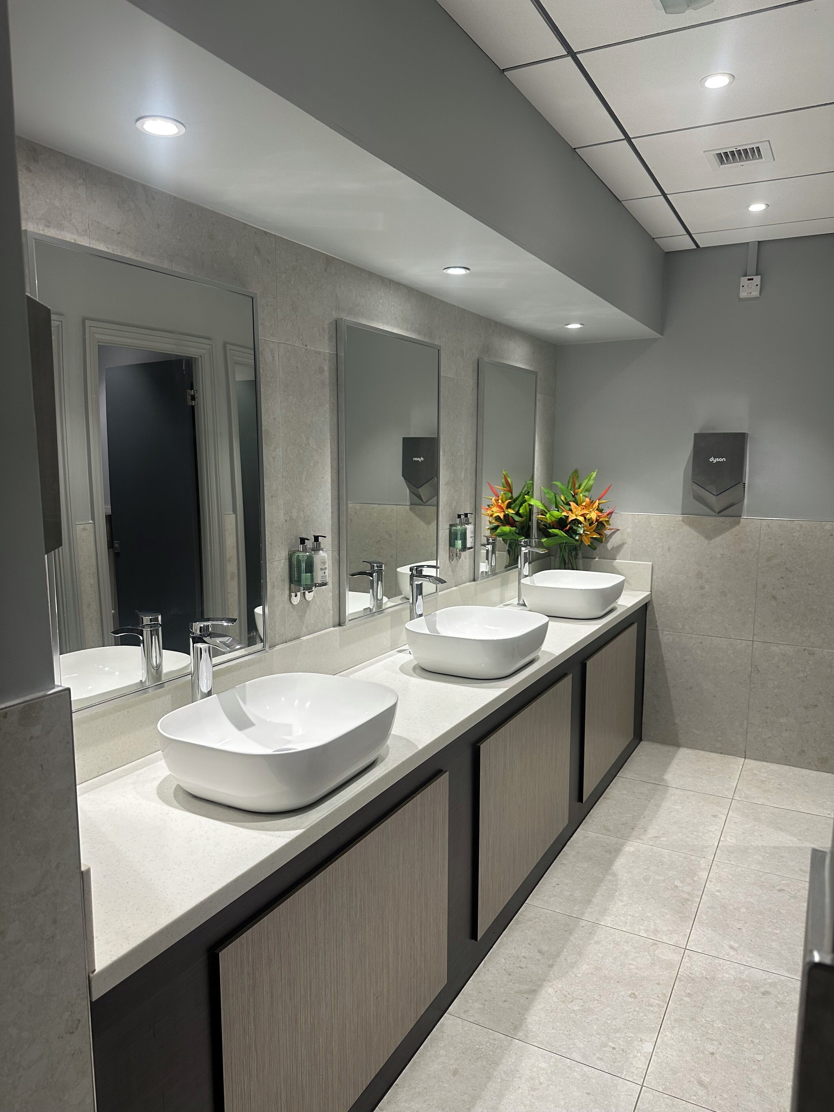 Ein modernes Badezimmer mit zwei großen Waschbecken, einem Spiegel und einer Pflanze.