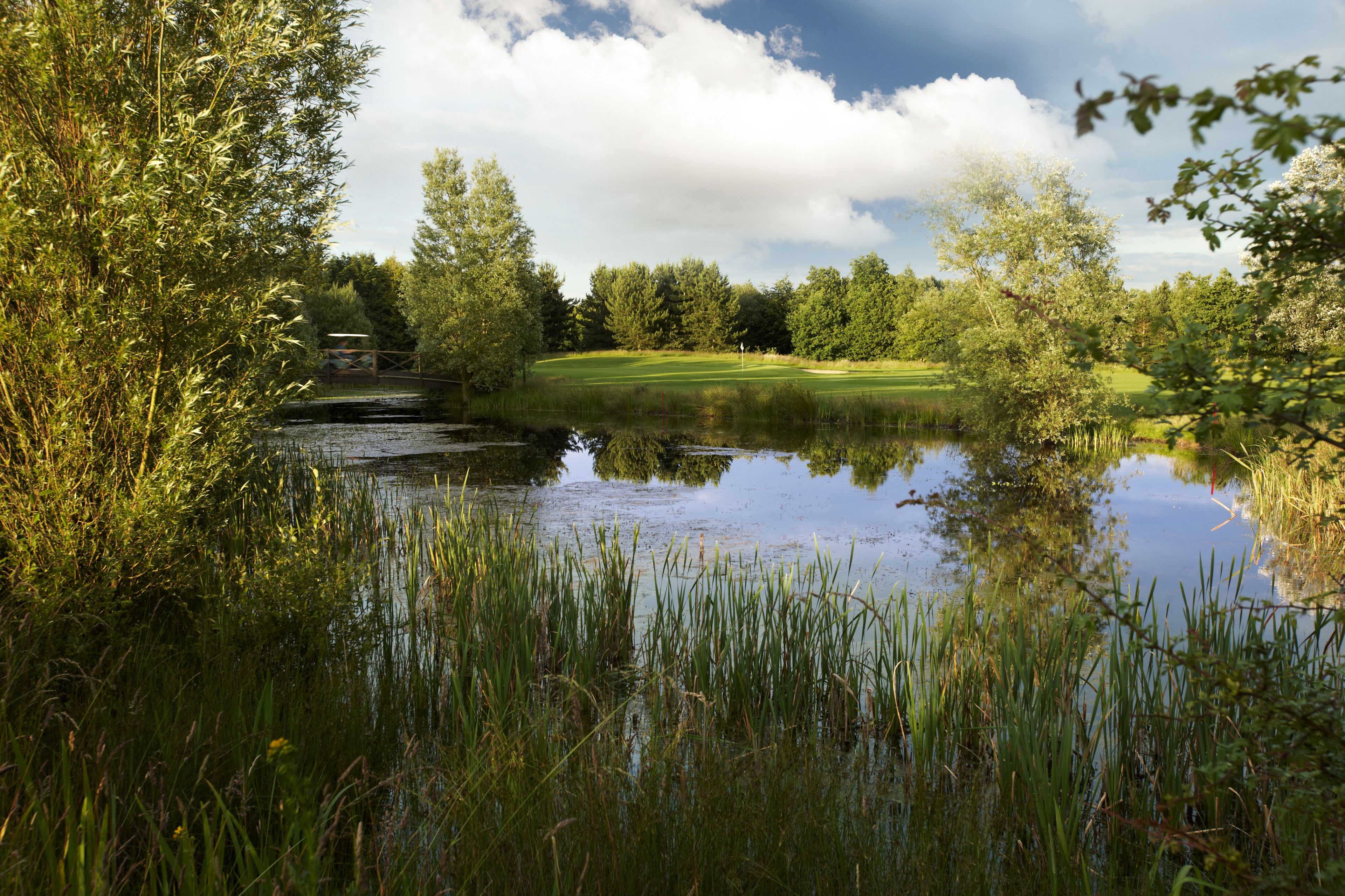 Een vredig landschap met een vijver, weelderige begroeiing en een golfbaan in de verte.