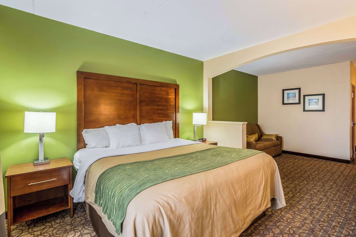 Une chambre d’hôtel avec un grand lit, deux tables de chevet avec des lampes, un mur vert, une moquette marron à motifs et un fauteuil marron.