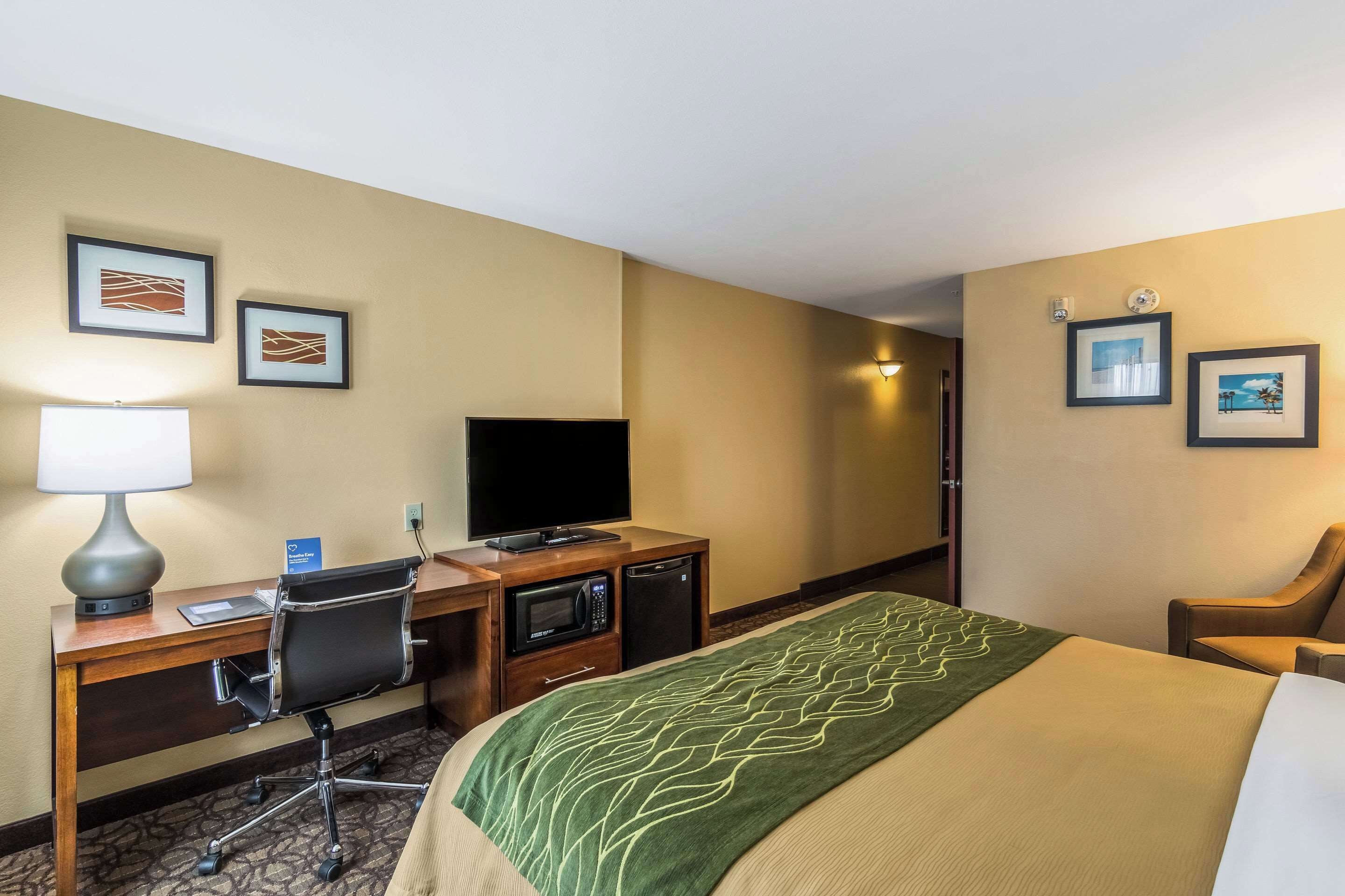 A hotel room with a bed, desk, chair, TV, microwave, and a lamp.