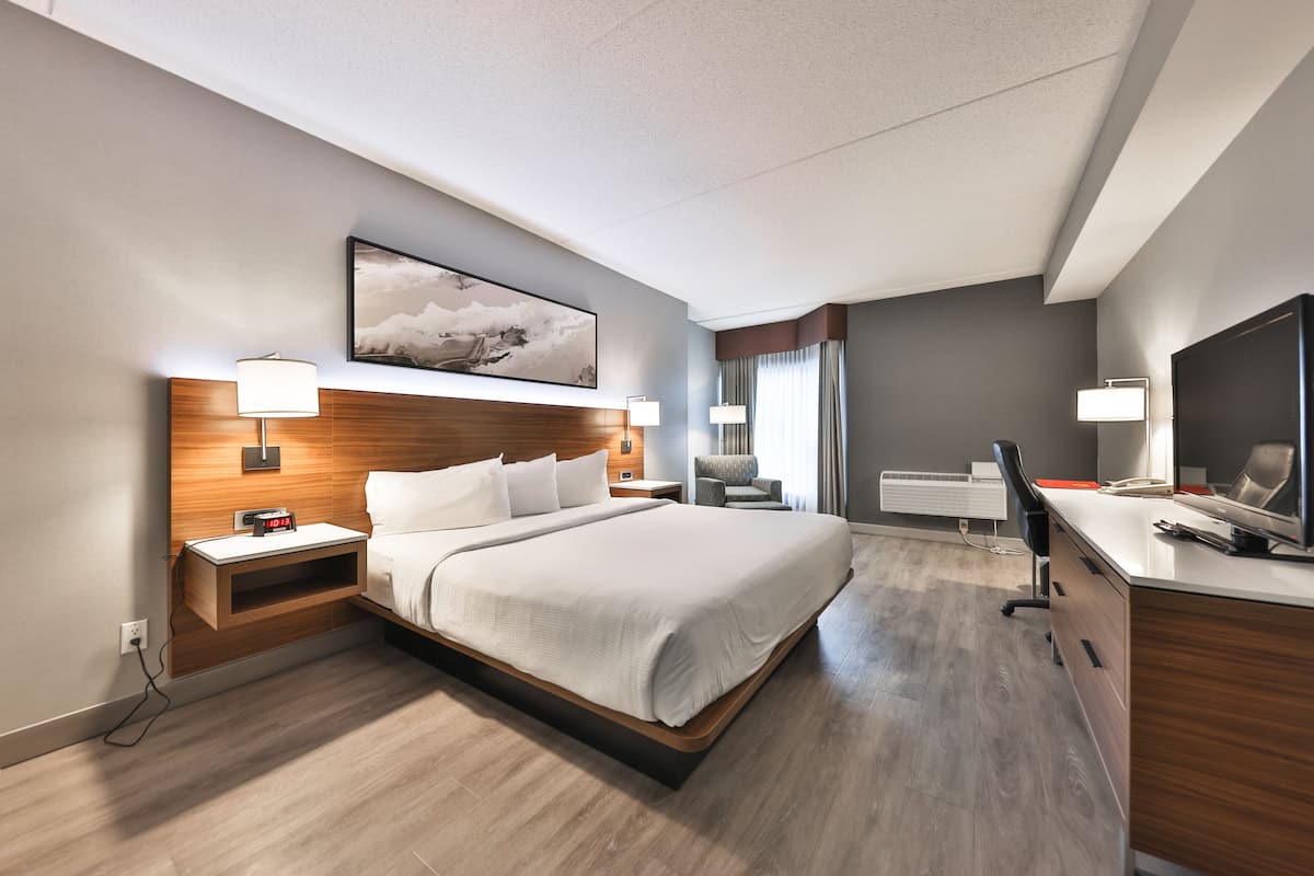 Habitación de hotel moderna con una cama grande, mesitas de noche, un escritorio, una silla y un televisor de pantalla plana.