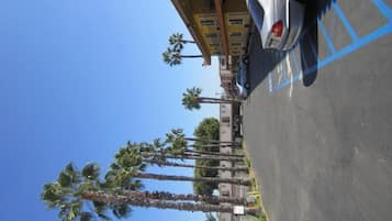 A parking lot with a row of parked cars and a building with multiple windows and balconies. Palm trees are visible in the background.