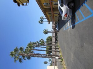 A parking lot with a row of parked cars and a building with multiple windows and balconies. Palm trees are visible in the background. - Northgate Motel (El Cajon)