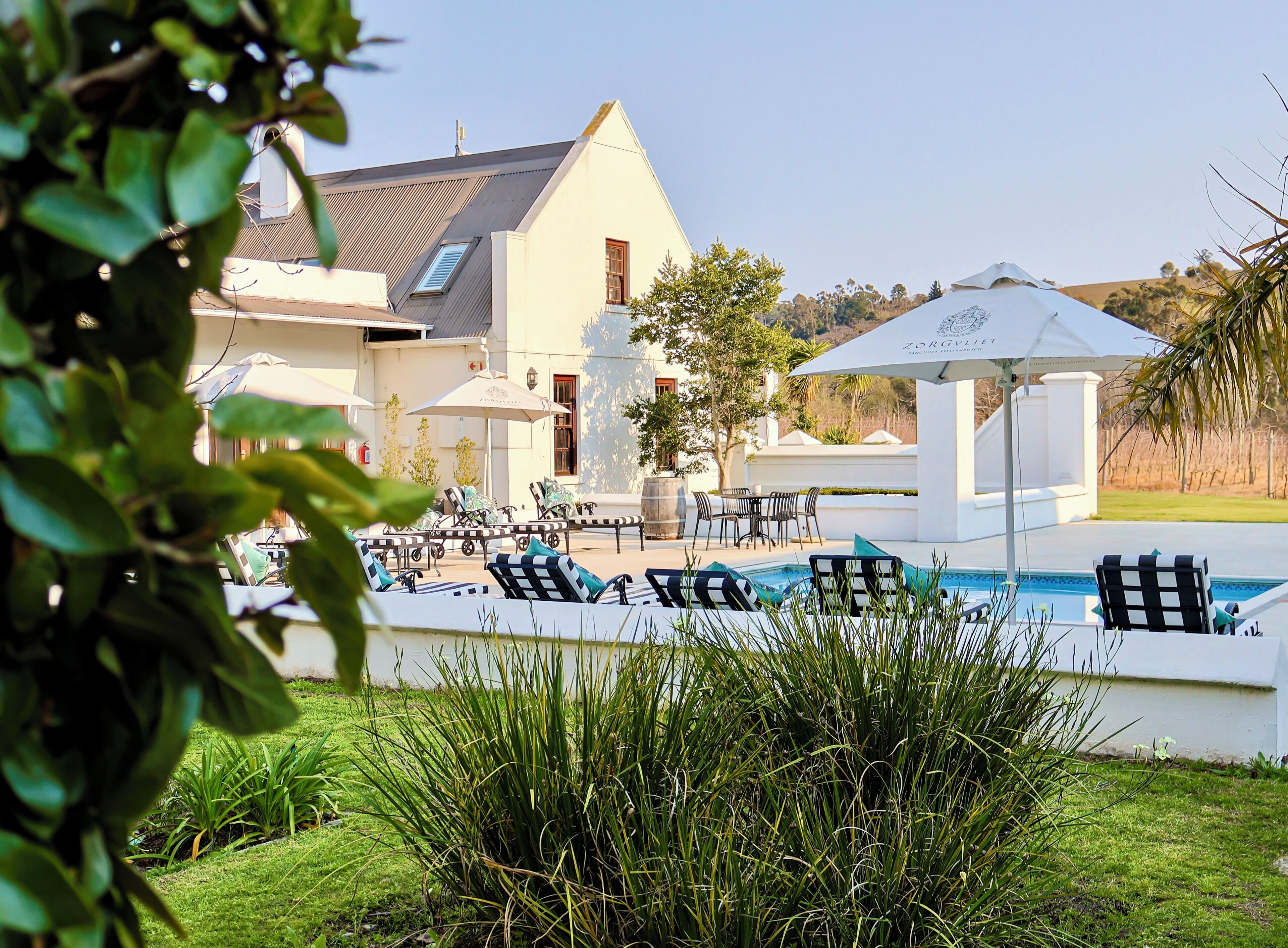 Outdoor pool, sun loungers