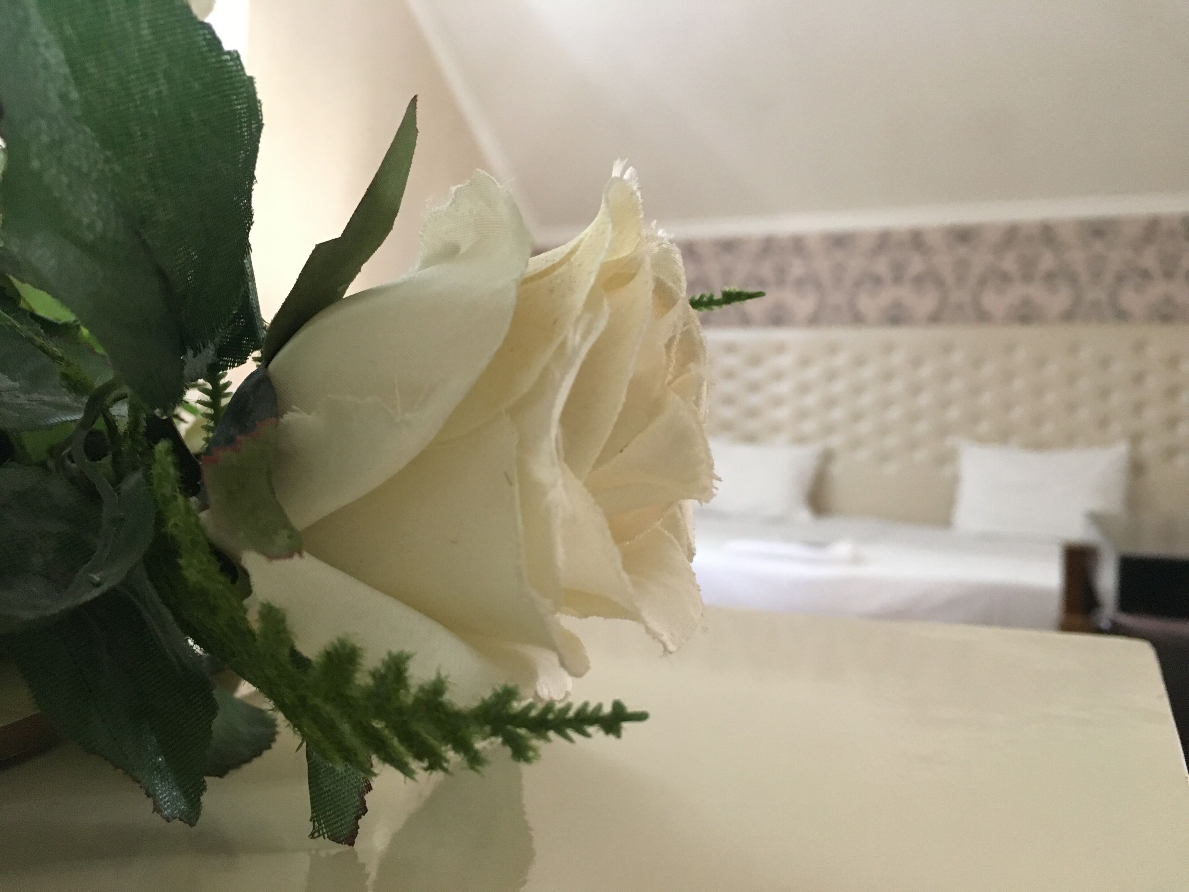 Chambre Économique Double ou avec lits jumeaux