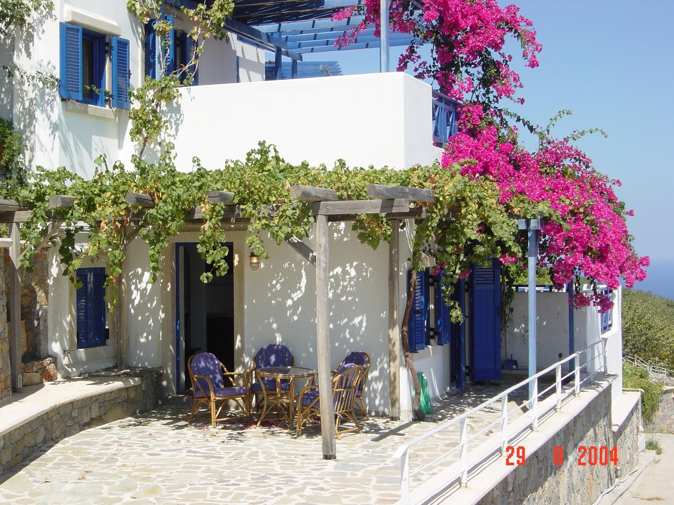 Un bâtiment blanc aux volets bleus, une terrasse pavée de pierres et une pergola recouverte de plantes grimpantes vertes et de bougainvilliers roses.