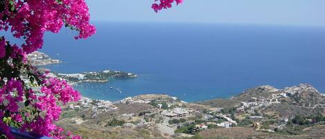 A coastal landscape with a view of the sea and a town in the distance.