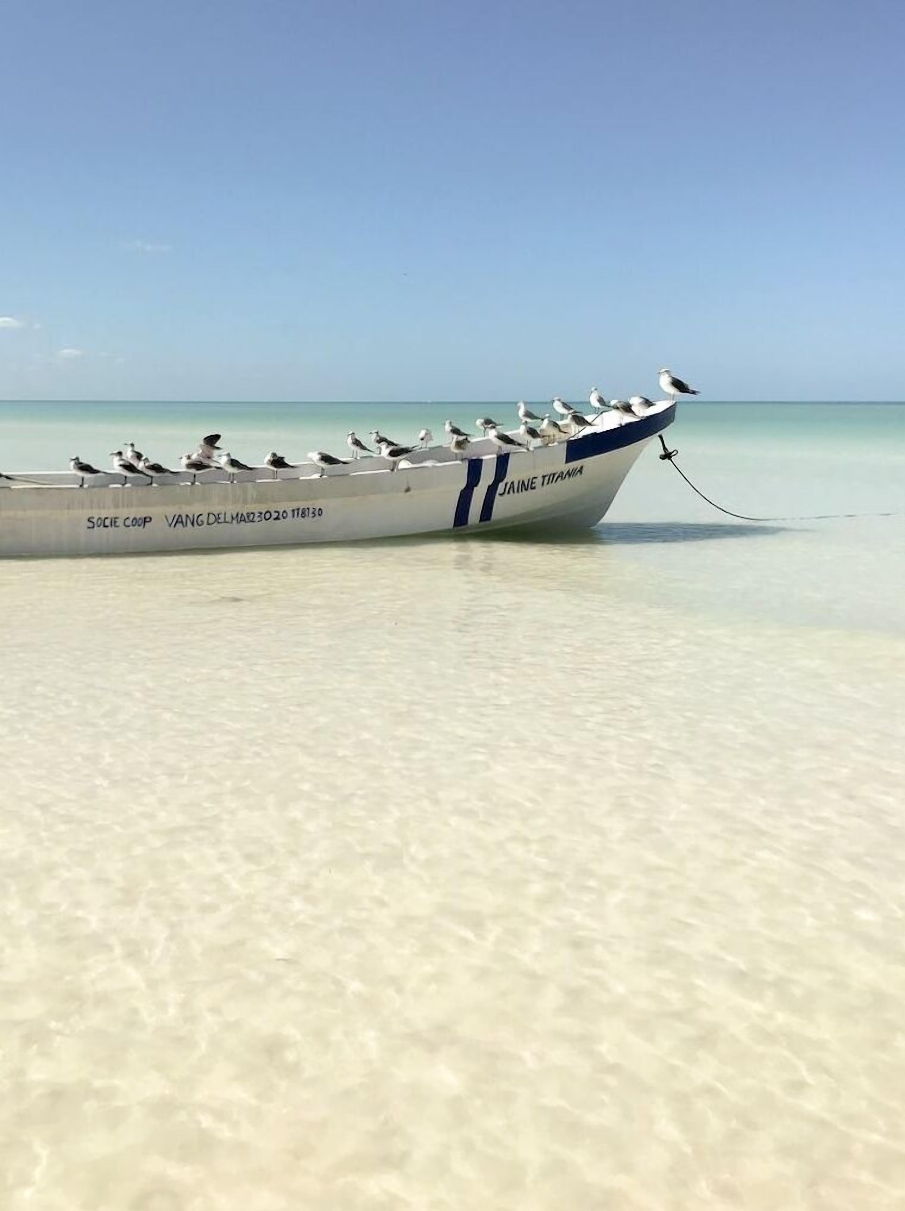 private beach, sun-loungers, beach umbrellas, beach towels