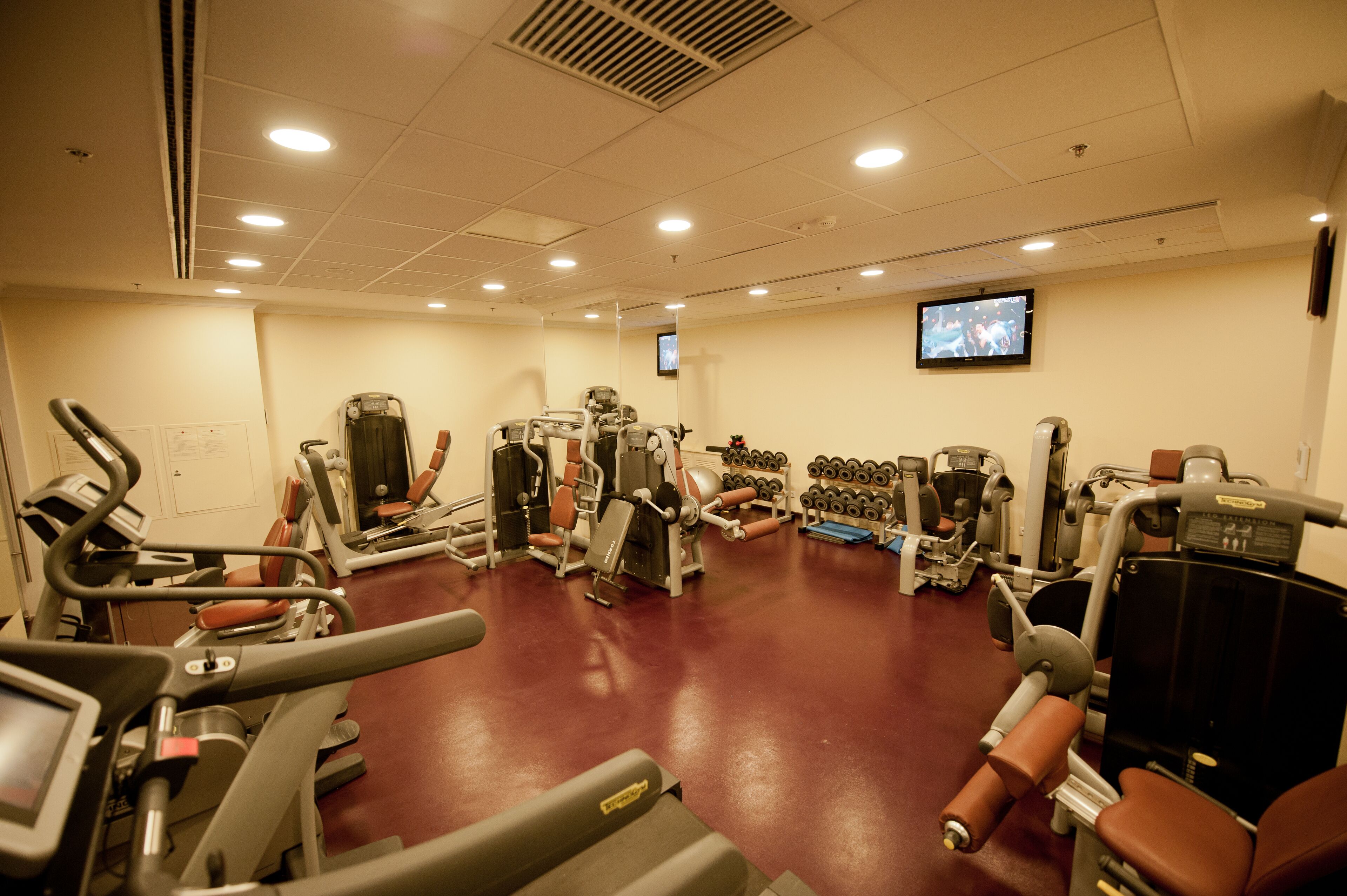 A gym with various exercise machines, a television screen, and dumbbells.