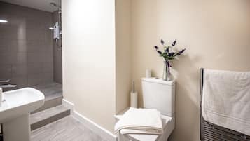 Un bagno con doccia, lavabo, water e portasciugamani.