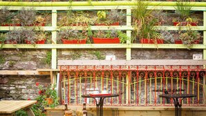 Terrace/patio - Ashley Hotel (Cork)