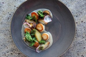 A plate of food with scallops, radish, and greens.