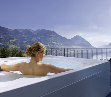 Vistas desde el alojamiento. Seehotel Wilerbad