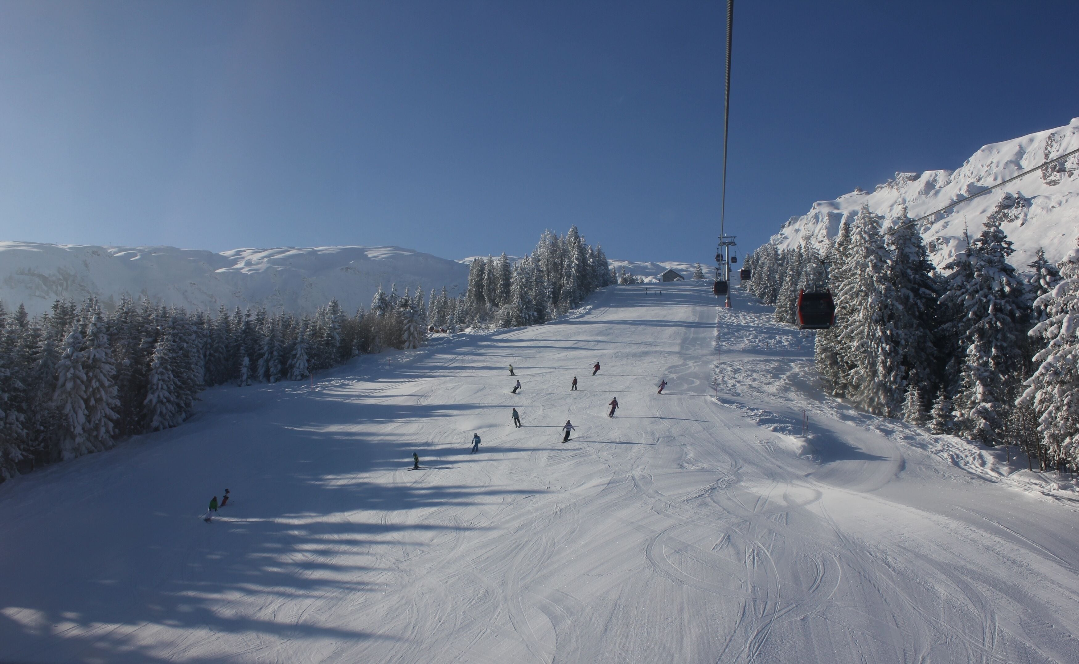 A ski slope with skiers, a ski lift, and snow-covered trees.