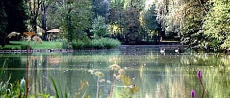 A serene pond surrounded by lush greenery and trees.