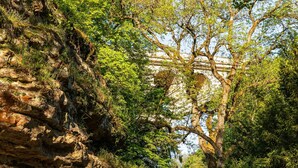 Bicycling - Sofitel Luxembourg Le Grand Ducal (Luxembourg City)