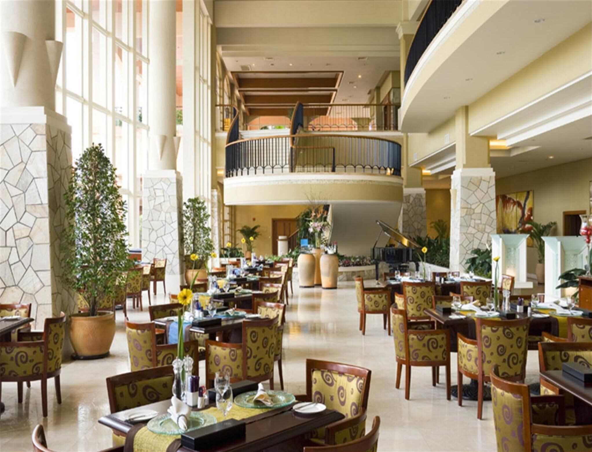 international cuisine