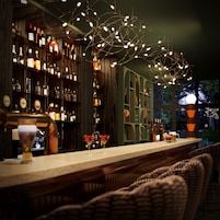 Cocktailbaari