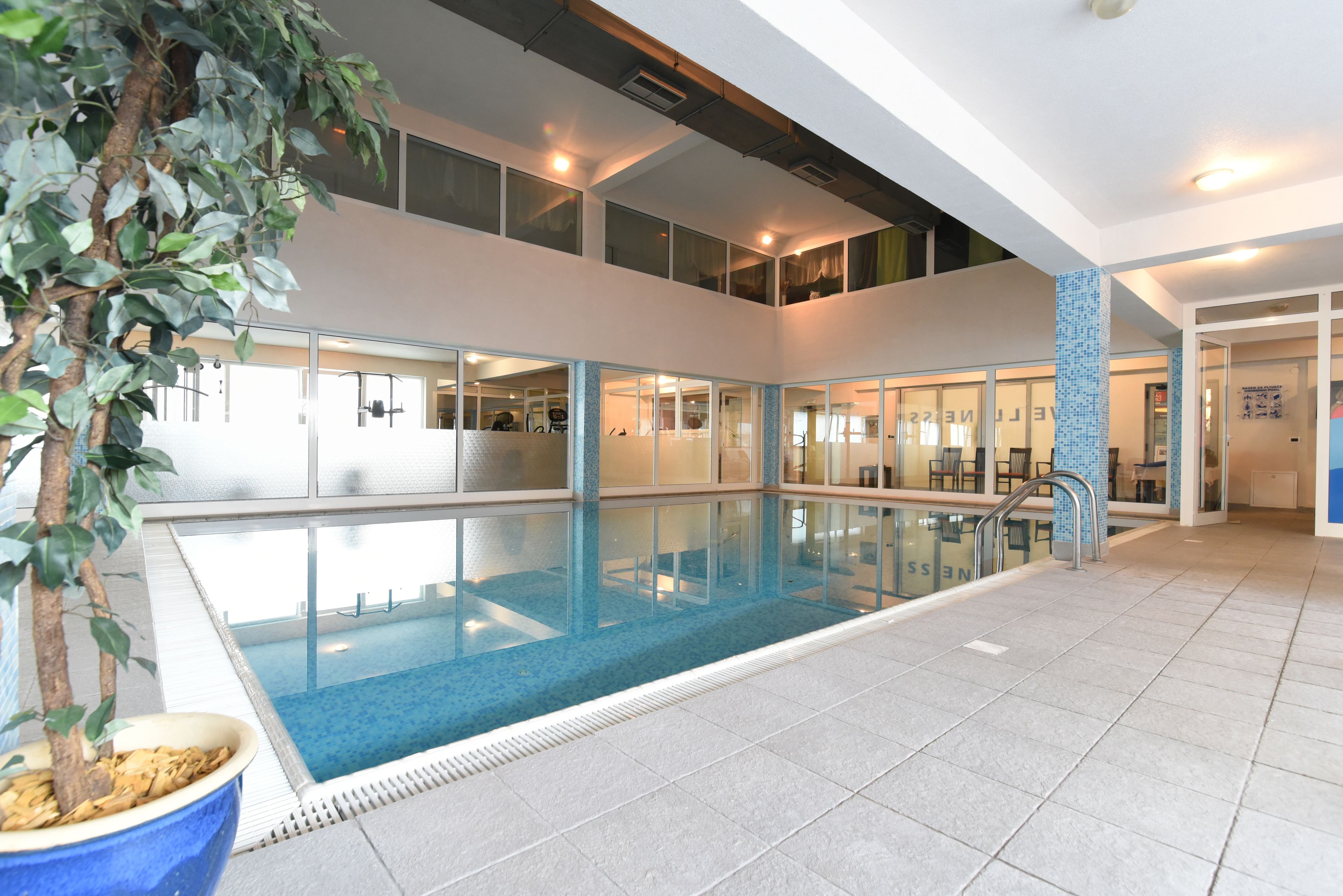 Indoor pool, sun loungers