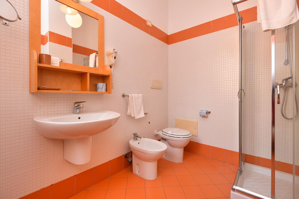 family room | bathroom | free toiletries, hair dryer, bidet, towels