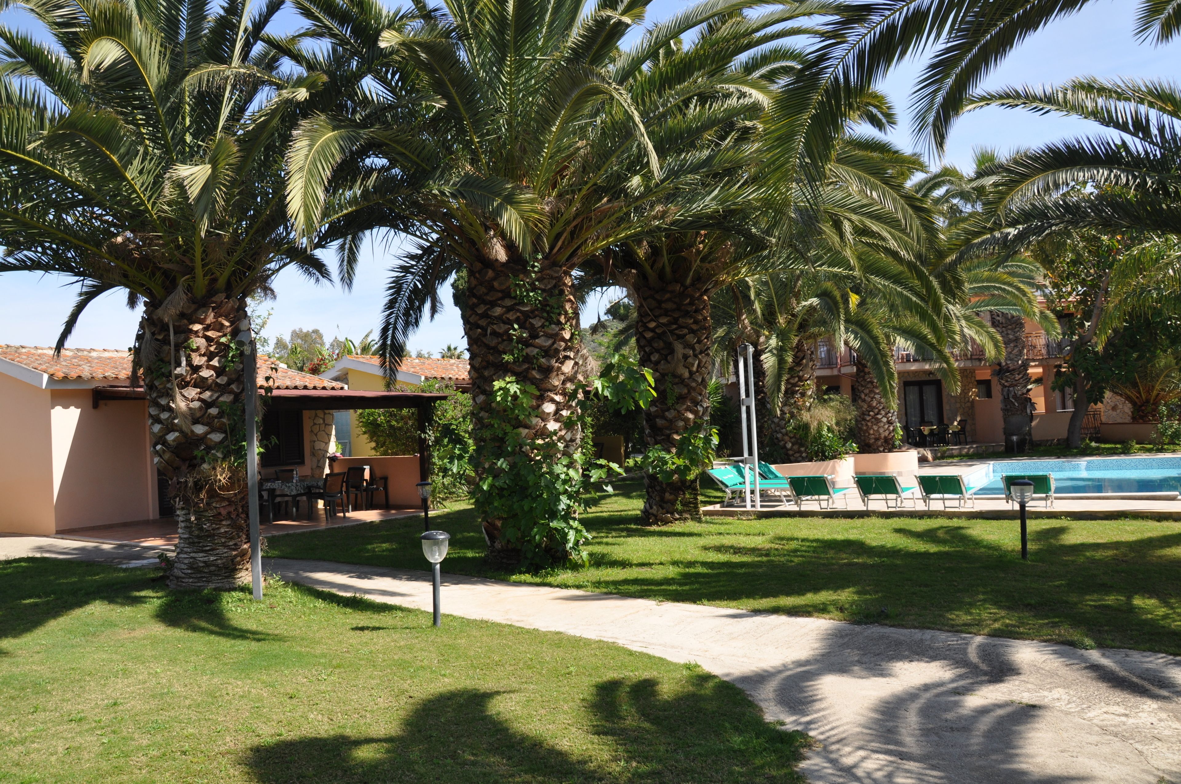 A poolside area with palm trees, a pool, and a building with a tiled roof.