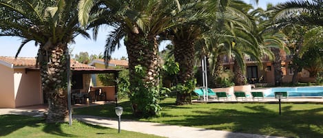 A poolside area with palm trees, a pool, and a building with a tiled roof.