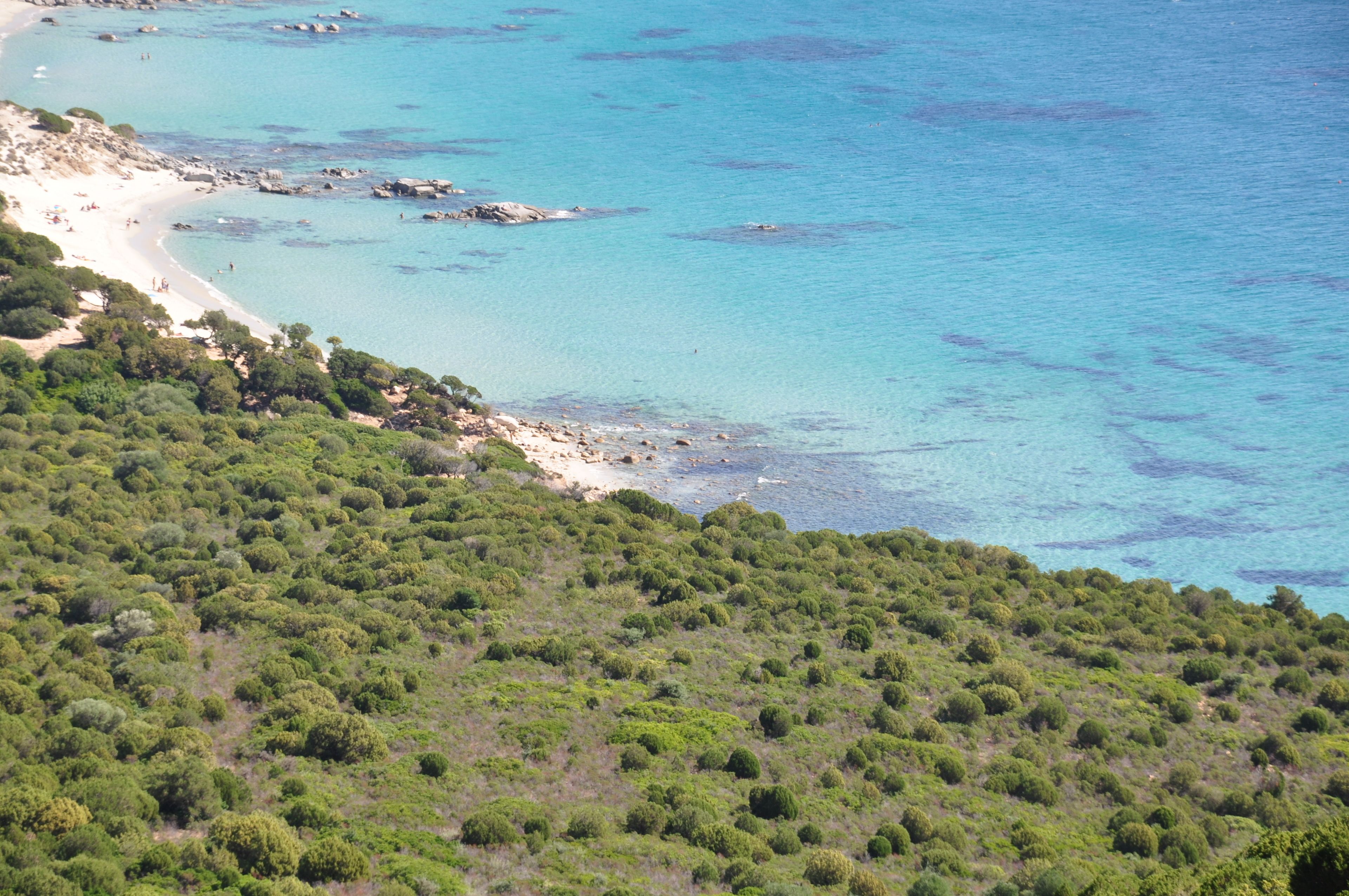A coastal landscape with a beach and dense greenery.