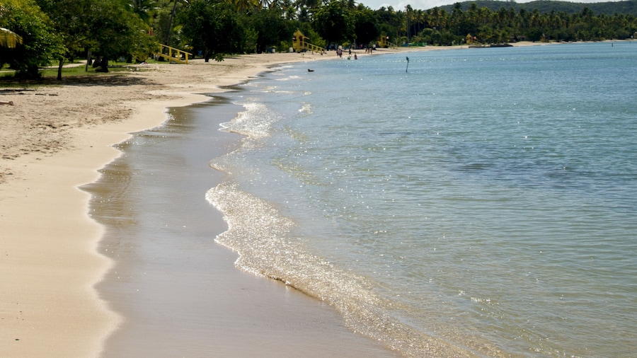 Aquarius Vacation Club at Boqueron Beach Resort