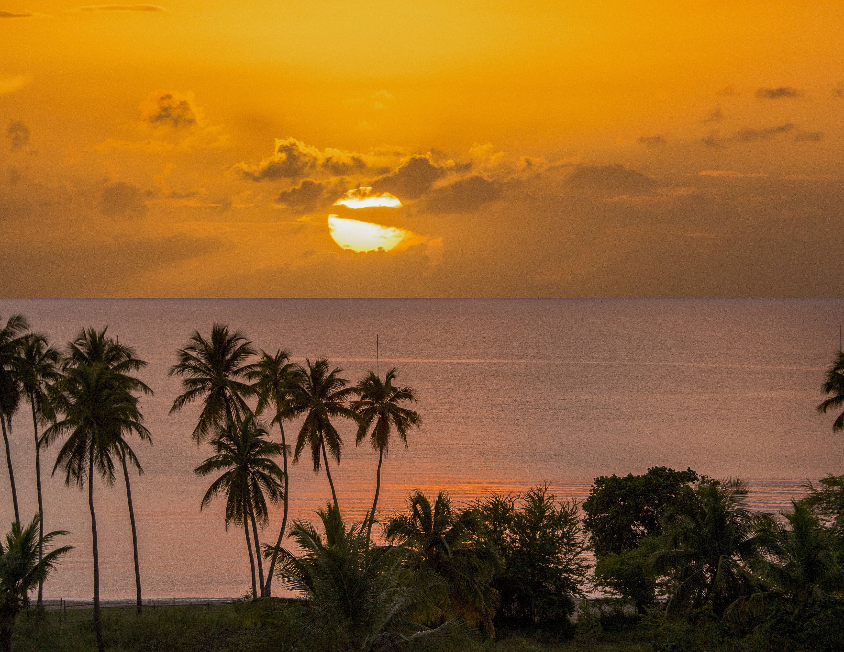 suite, 2 bedrooms | beach/ocean view