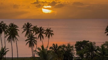 A sunset over a calm sea with palm trees in the foreground.