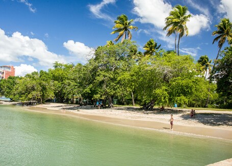 Aquarius Vacation Club at Boqueron Beach Resort - Image 44