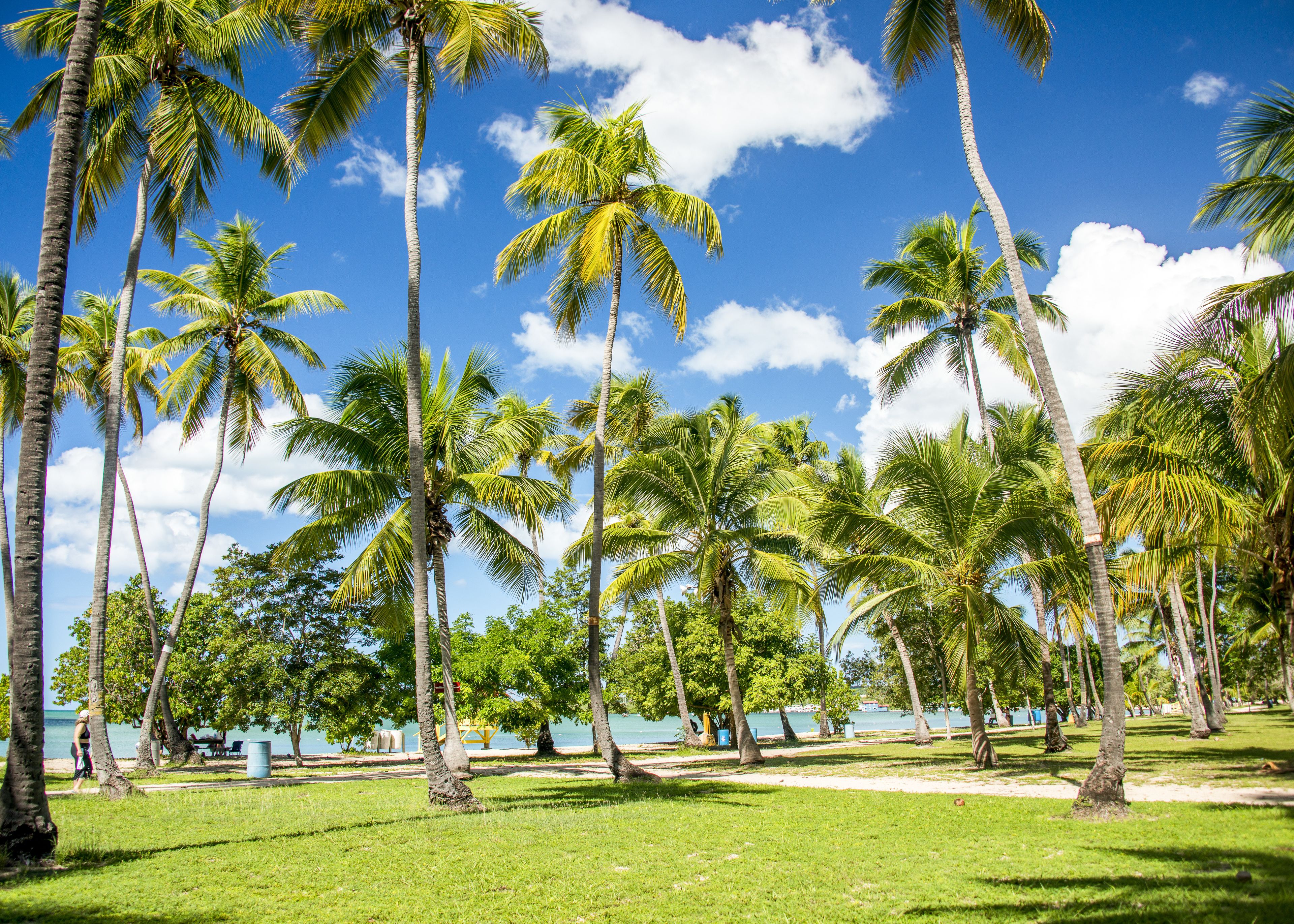 beach nearby, white sand, beach towels
