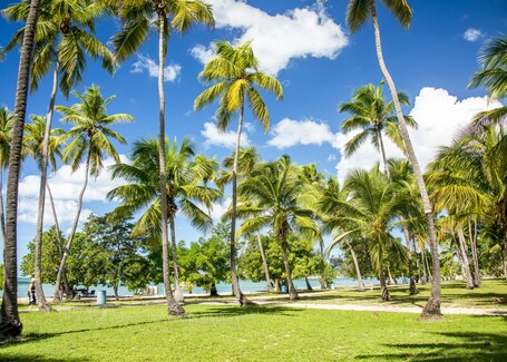 Aquarius Vacation Club at Boqueron Beach Resort - Image 31