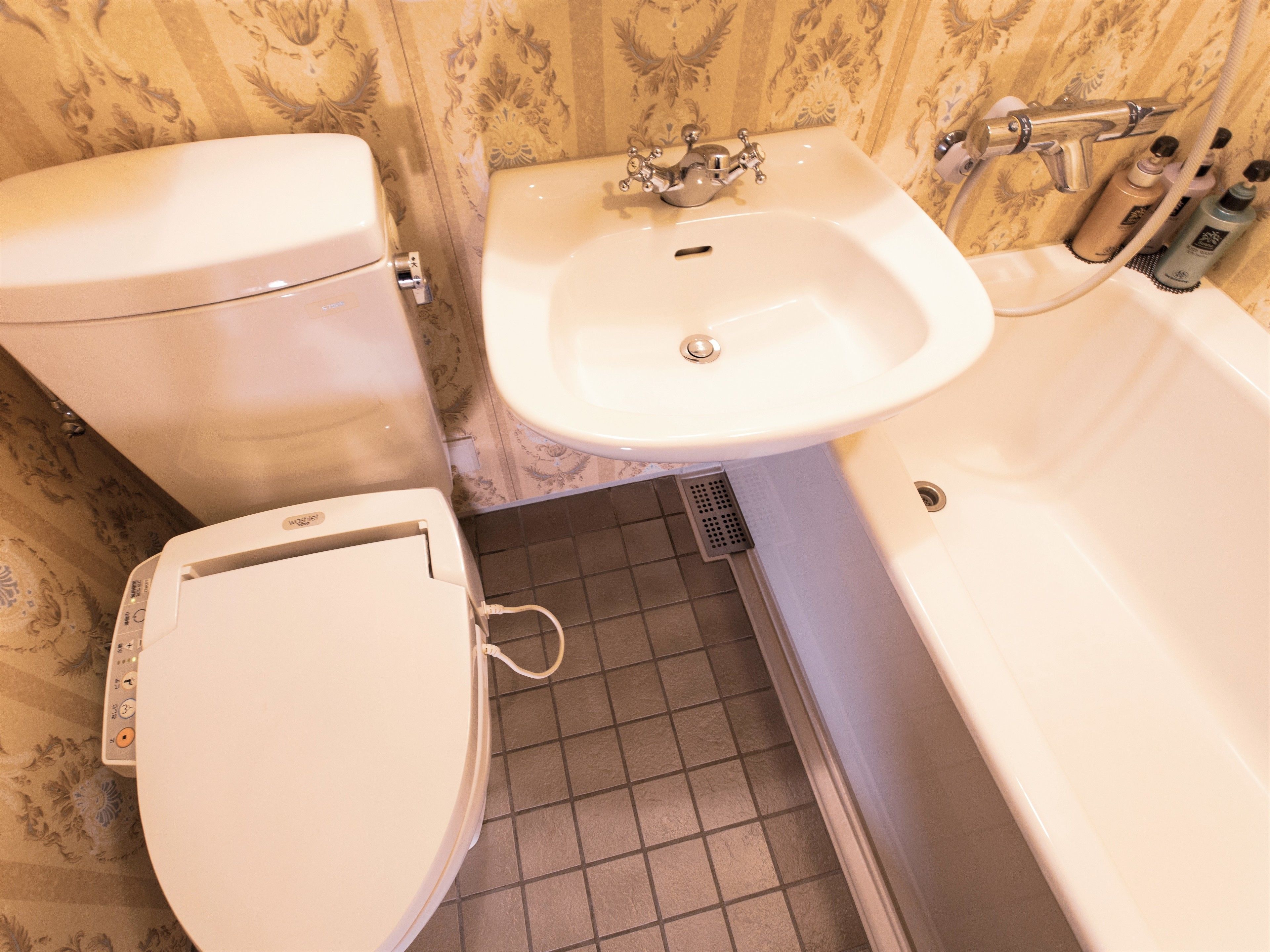 combined shower/bathtub, free toiletries, hair dryer, slippers