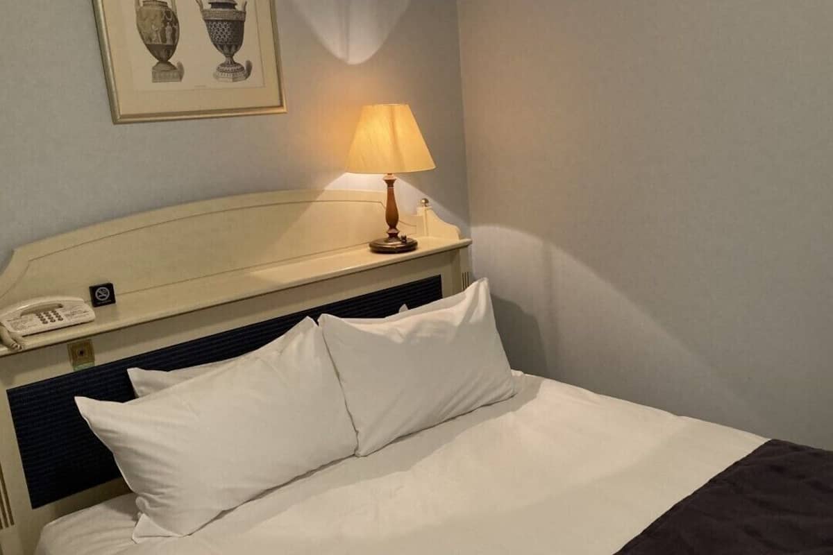 A hotel room with a bed, a bedside lamp, a telephone, and a framed picture on the wall.