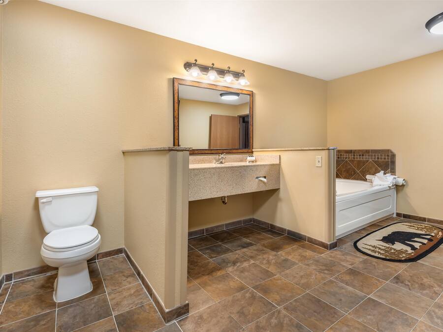 Une salle de bain équipée de toilettes, d’un lavabo, d’un miroir et d’un tapis orné d’un motif de buffle.