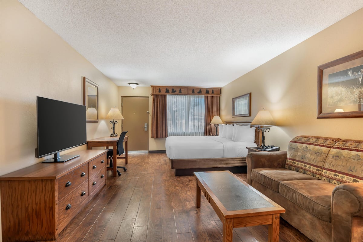 A hotel room with a bed, a TV, a desk, a sofa, and a window with curtains.