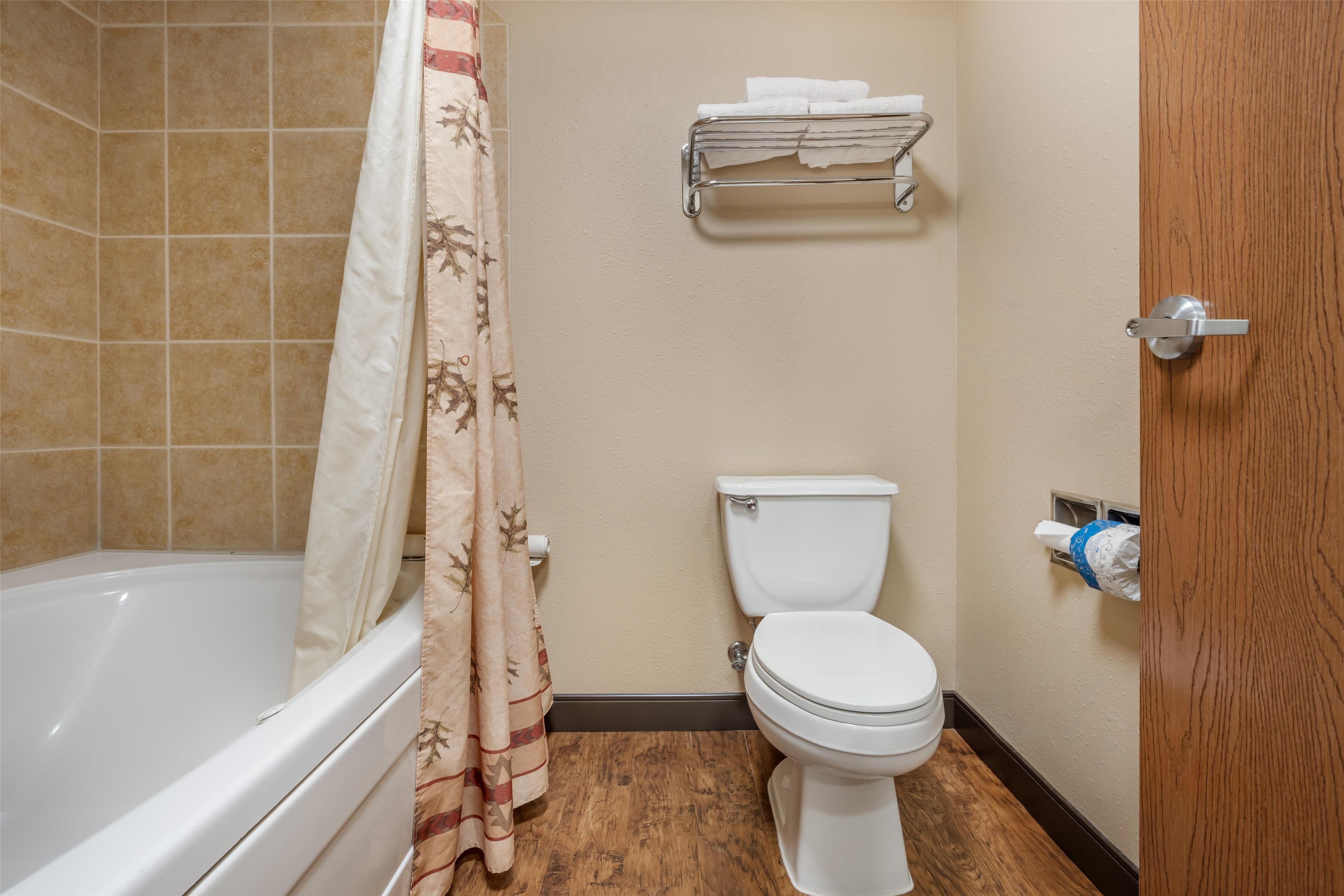 combined shower/bathtub, free toiletries, hair dryer, towels