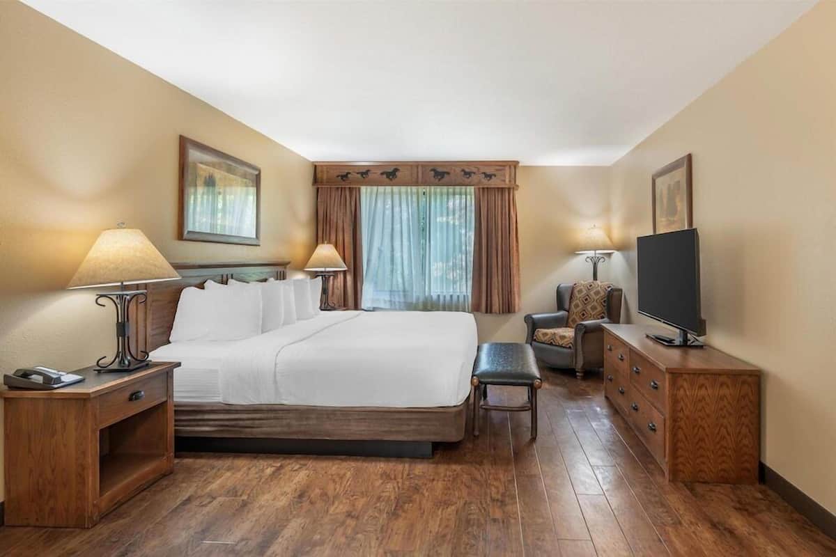 Pillow-top beds, desk, laptop workspace, blackout curtains
