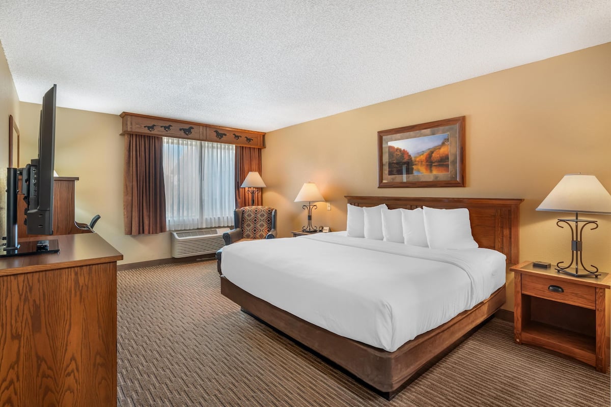 Standard Room, 1 King Bed, Accessible, Non Smoking | Pillowtop beds, desk, laptop workspace, blackout drapes