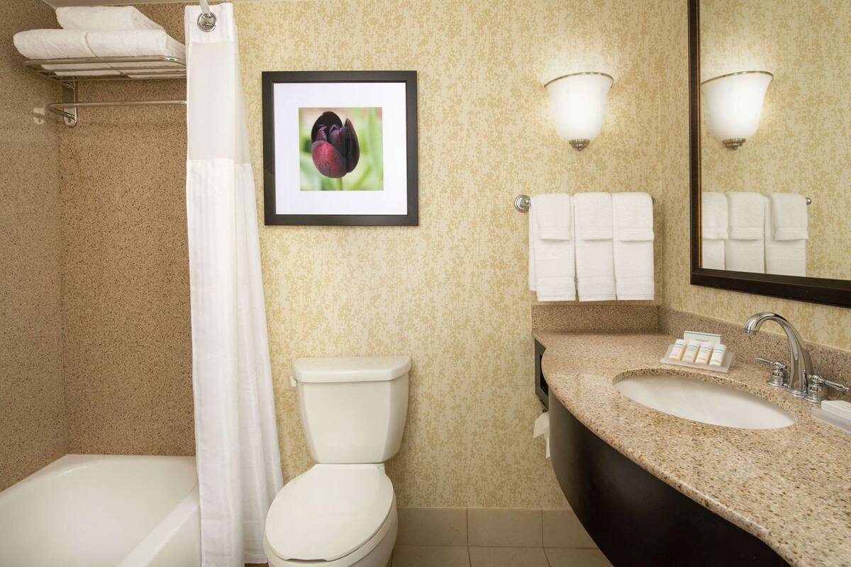 A bathroom with a toilet, sink, shower, and a framed picture on the wall.