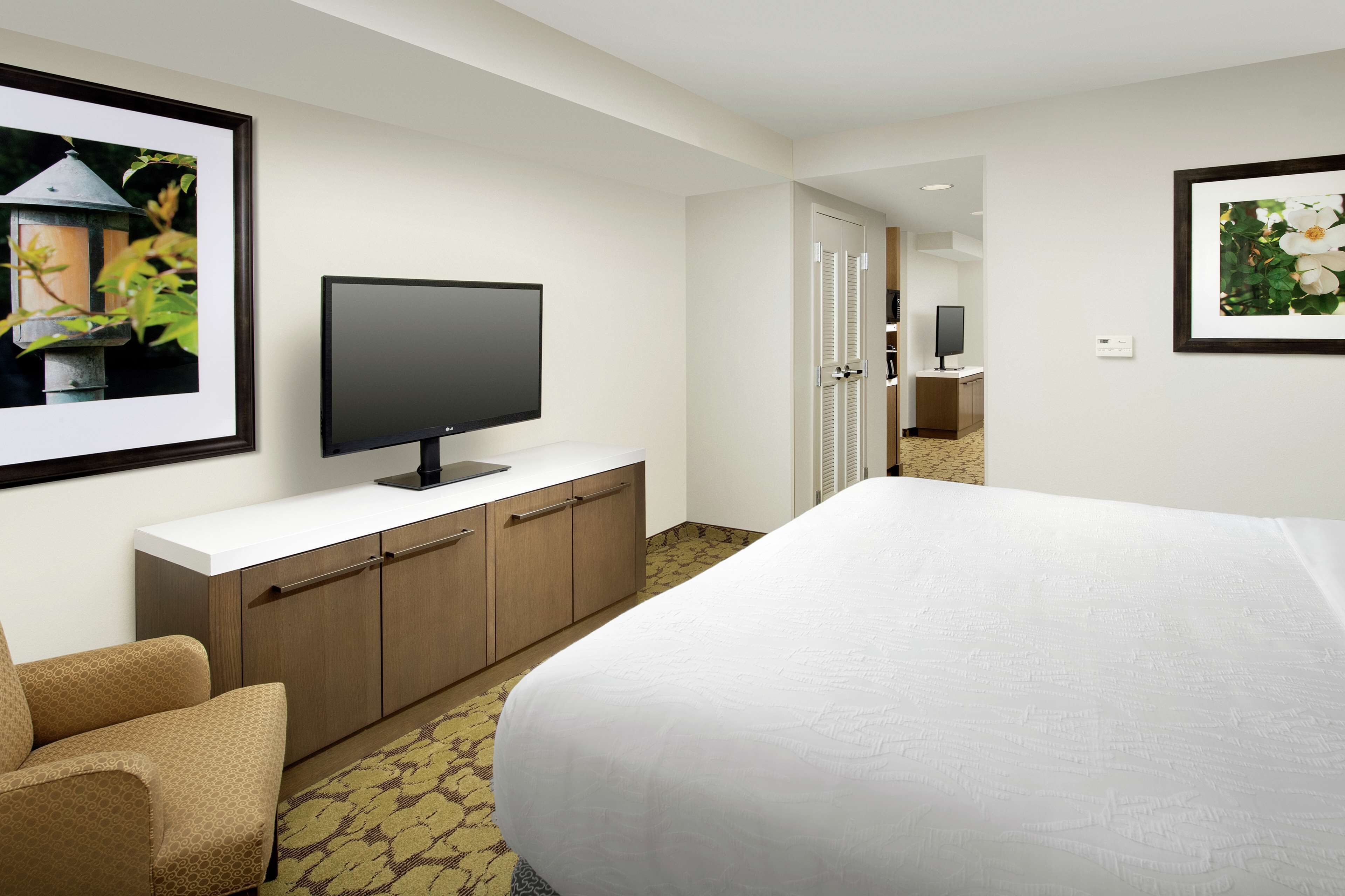 suite, 1 king bed with sofa bed | premium bedding, in-room safe, desk, iron/ironing board