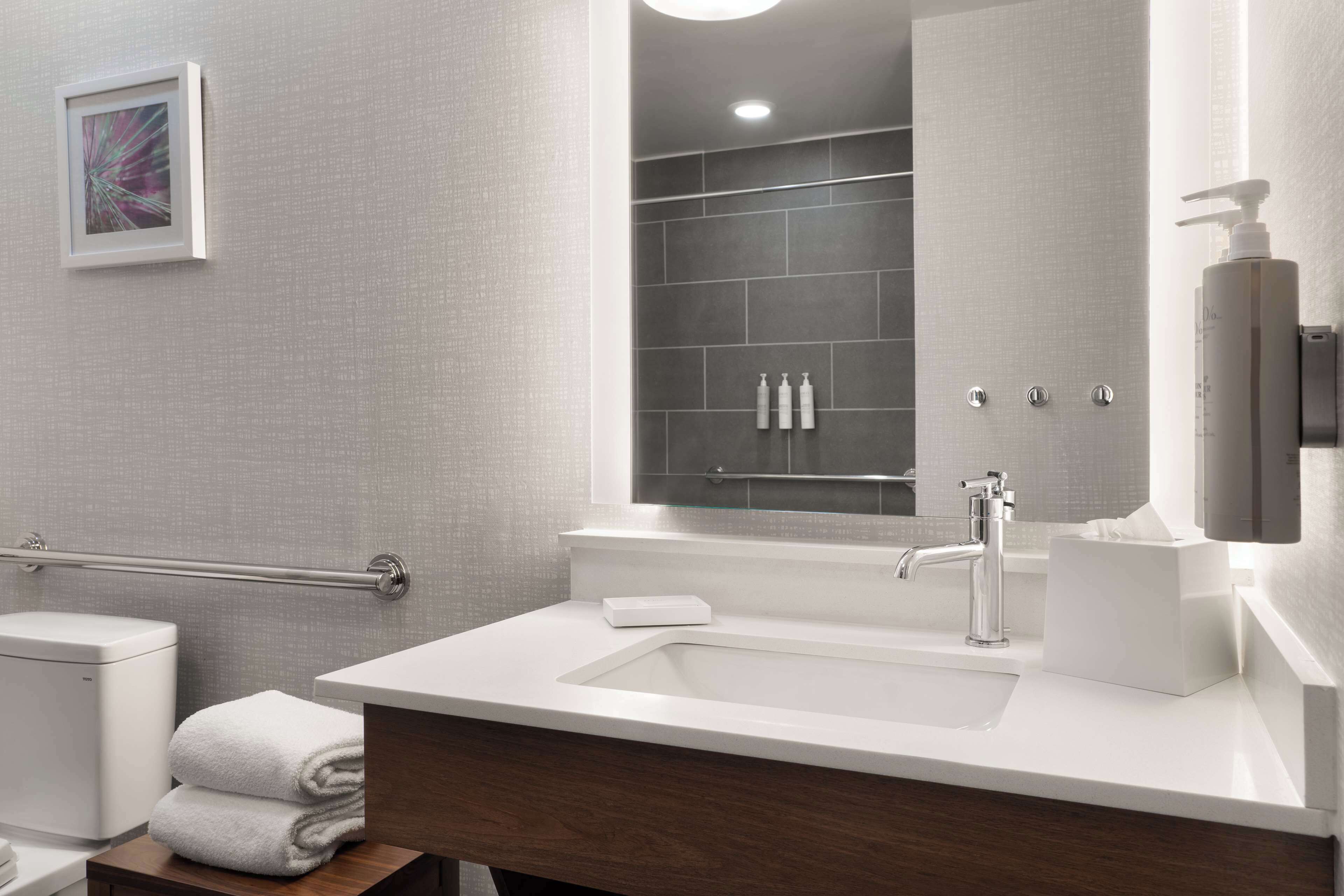 suite, 1 king bed, accessible, non smoking | bathroom | combined shower/bathtub, free toiletries, hair dryer, towels